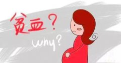 孕期缺鐵性貧血的危害大，體“鐵”需入微