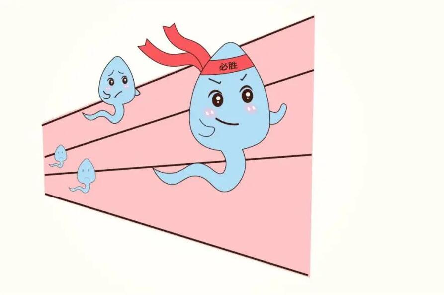 想培養(yǎng)出戰(zhàn)斗力強悍的小蝌蚪，靠禁欲行嗎？